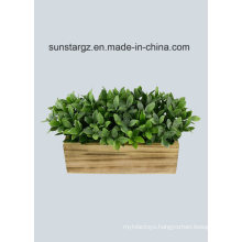 Sage Leave Artificial Plant with Wooden Pot for Home Decoration (51110)